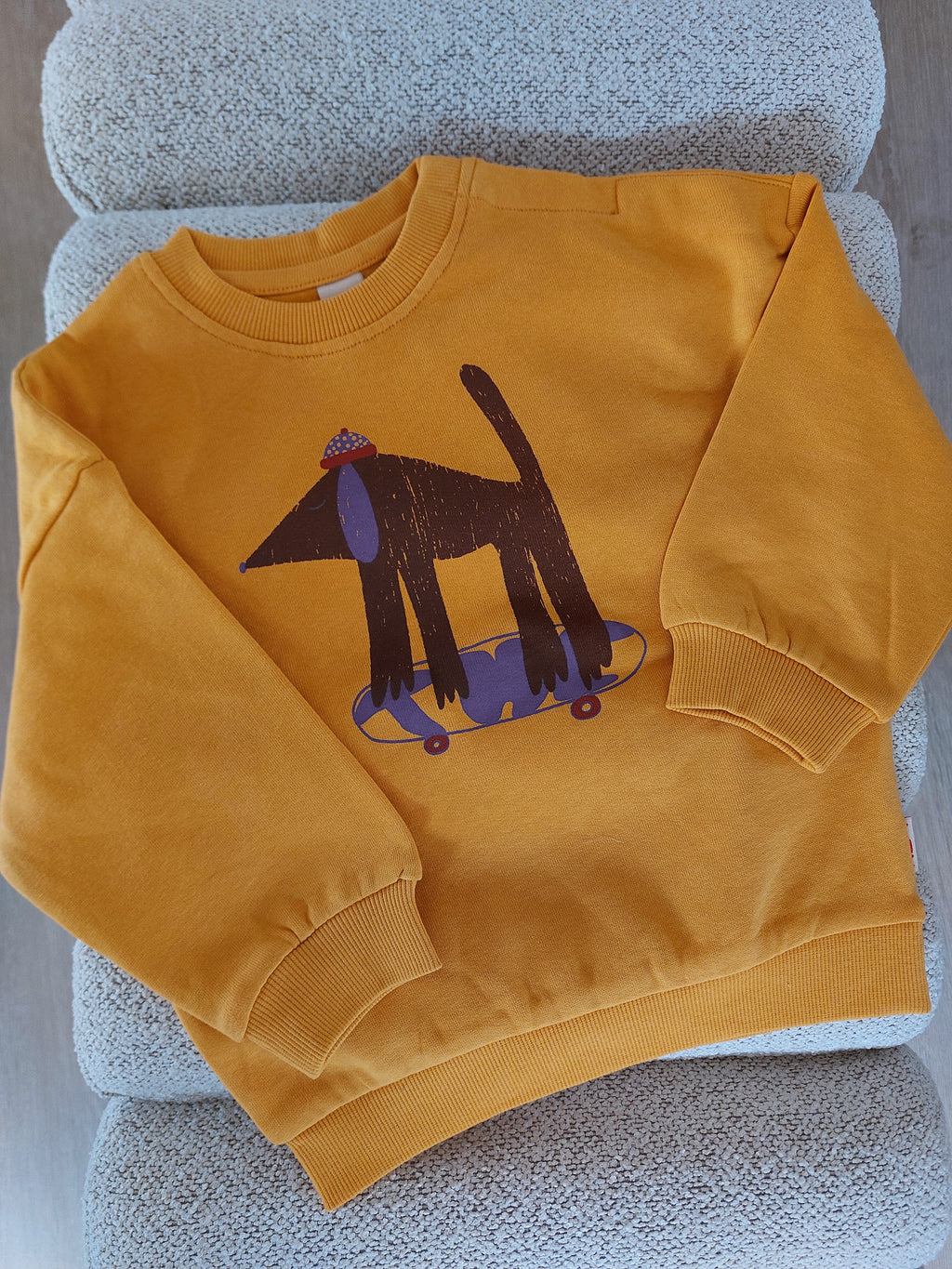 Sweater skateboard