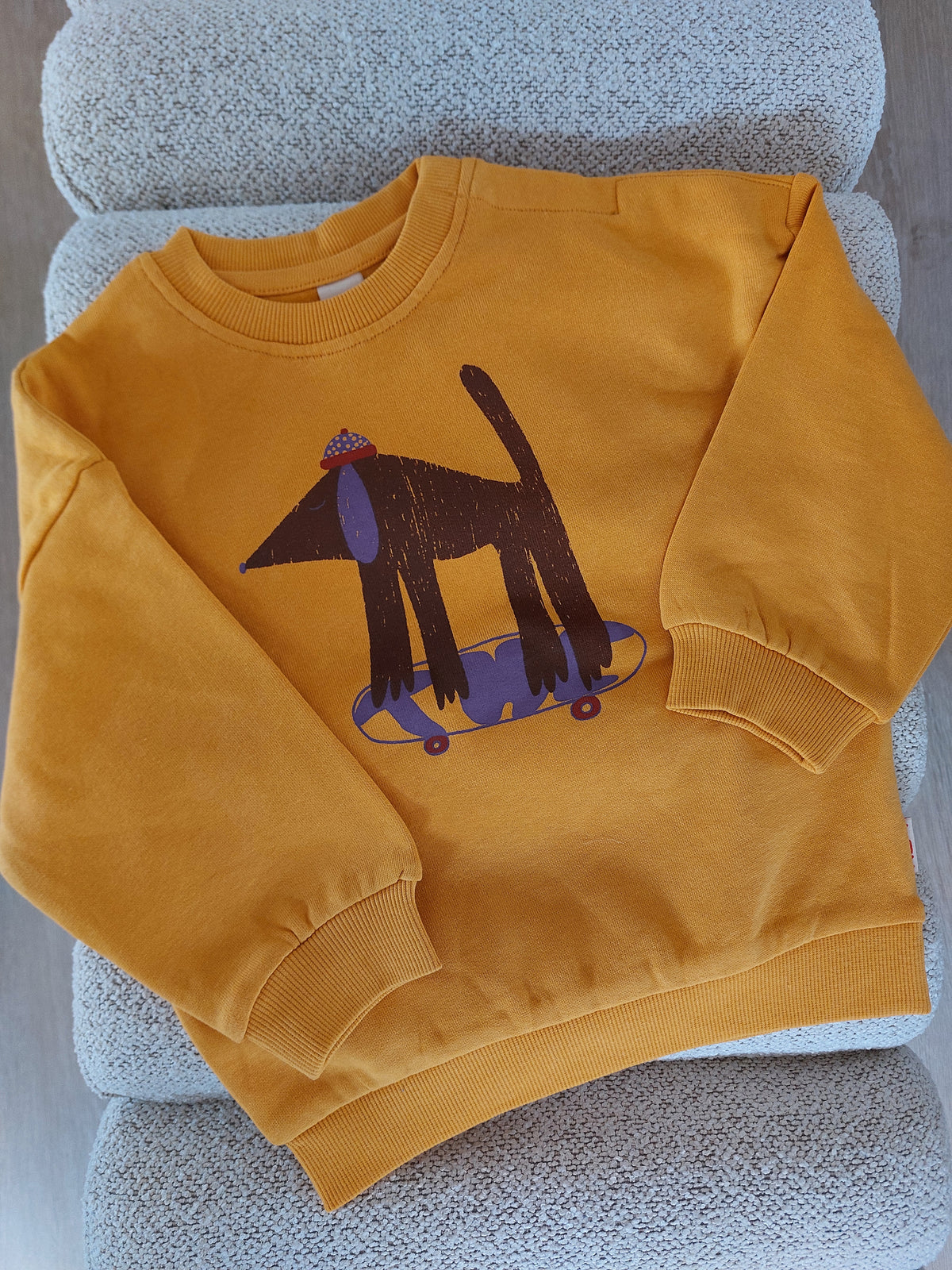 Sweater skateboard
